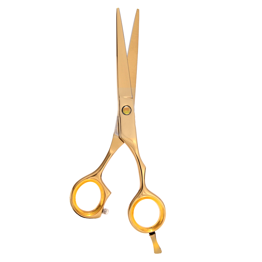 Hair Cutting Scissors (Gold)